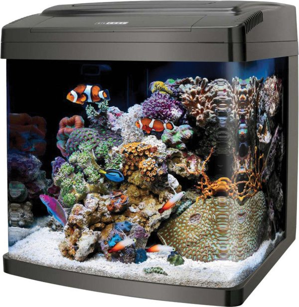 Aqueon Products - Glass - Coralife Biocube Aquarium Online Hot Sale